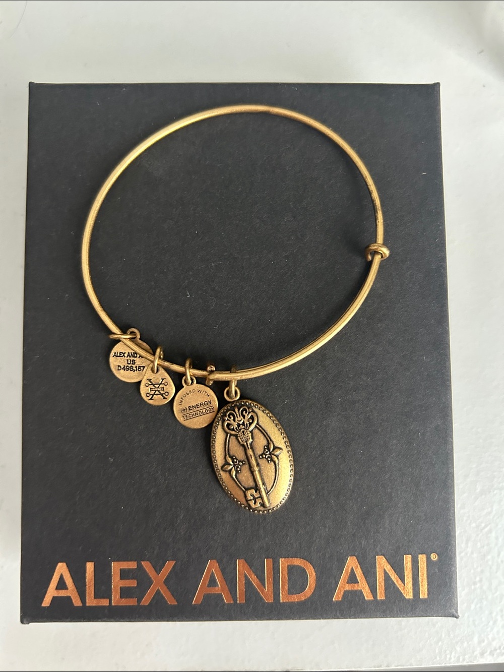 Alex and Ani Gold Oval key to life Charm Bracelet